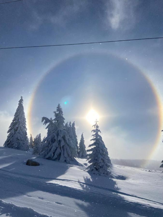 Apartman Premier 32 Milmari Kopaonik Exterior foto